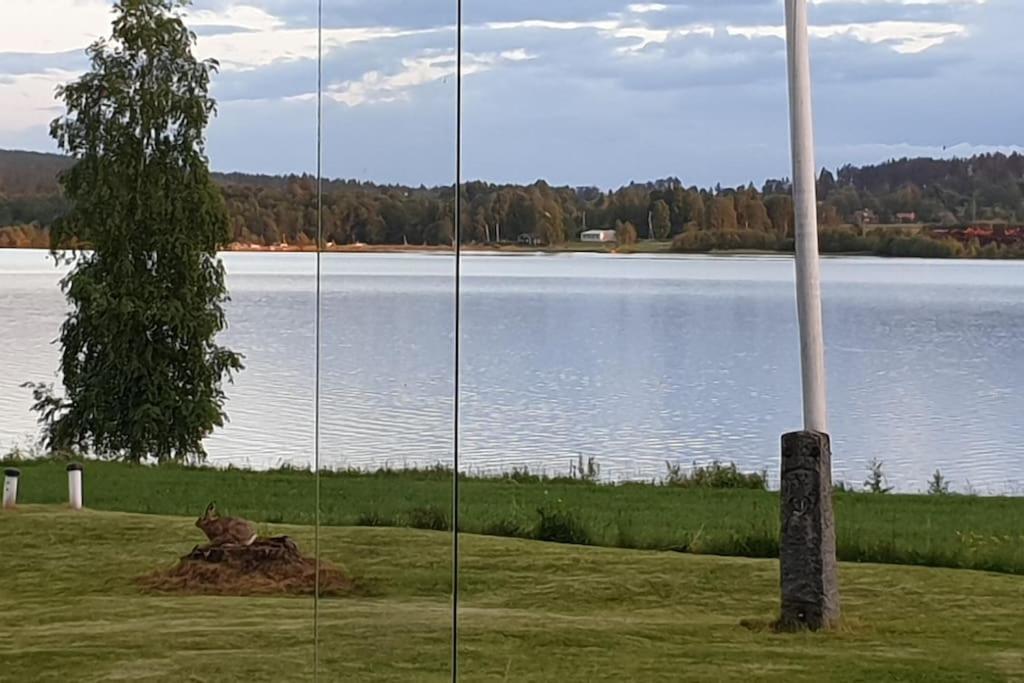 Lake Lodge Roennaes Лександ Экстерьер фото